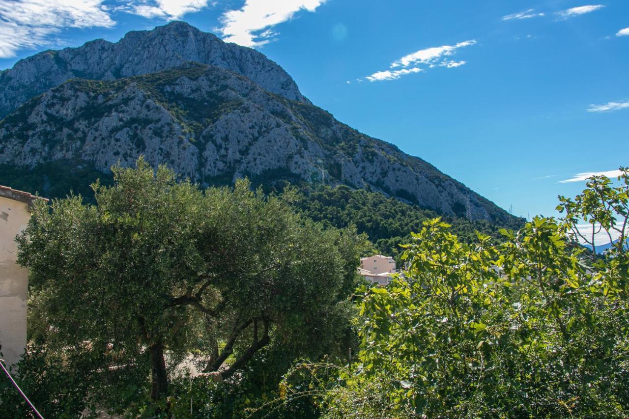 Apartments With A Parking Space Gradac, Makarska - 14708 Gradac  Kültér fotó