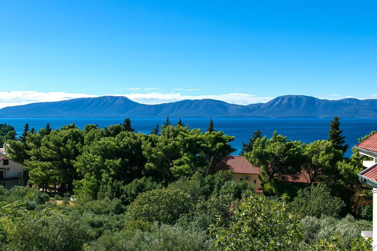 Apartments With A Parking Space Gradac, Makarska - 14708 Gradac  Kültér fotó
