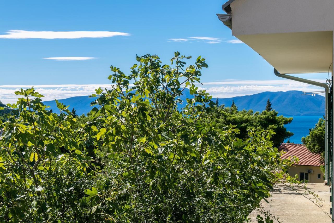 Apartments With A Parking Space Gradac, Makarska - 14708 Gradac  Kültér fotó